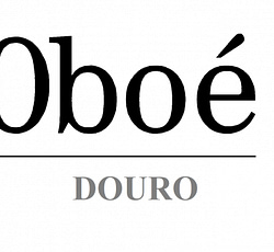 Oboé